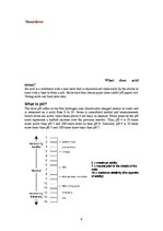 Referāts 'Acid Rain', 4.