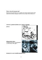 Referāts 'Acid Rain', 5.