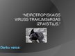 Prezentācija 'Neirotropiskaiss vīruss - trakumsērgas izraisītājs', 1.
