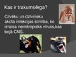 Prezentācija 'Neirotropiskaiss vīruss - trakumsērgas izraisītājs', 2.