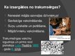 Prezentācija 'Neirotropiskaiss vīruss - trakumsērgas izraisītājs', 6.