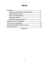 Referāts 'Videokartes uzbūve', 2.