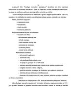 Diplomdarbs 'Uzņēmuma SIA "Kuldīgas komunālie pakalpojumi" cilvēkresursu vadības analīze un t', 50.