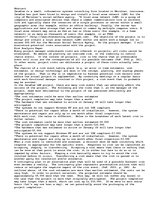 Eseja 'Risk Analysis Paper', 1.