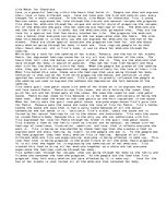 Eseja 'Like Water for Chocolate', 1.