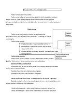 Konspekts 'Tiesību teorija konspekts', 8.