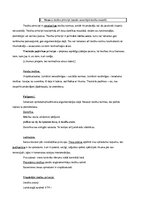 Konspekts 'Tiesību teorija konspekts', 11.