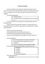 Konspekts 'Tiesību teorija konspekts', 13.