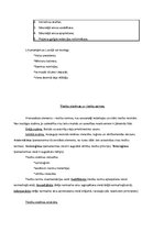 Konspekts 'Tiesību teorija konspekts', 14.