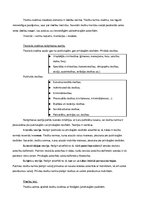 Konspekts 'Tiesību teorija konspekts', 15.