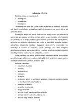 Konspekts 'Pašnāvība', 3.