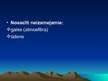 Prezentācija 'Dabas resursu veidi un klasifikācija', 8.