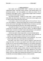 Referāts 'Biznesa eņģeļi', 21.