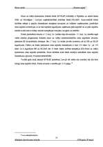 Referāts 'Biznesa eņģeļi', 23.