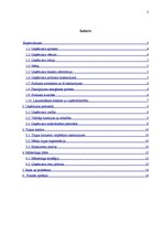 Biznesa plāns 'Biznesa plāna sastādīšana SIA "Šerloks" detektīvu aģentūrai', 2.