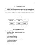 Biznesa plāns 'Biznesa plāna sastādīšana SIA "Šerloks" detektīvu aģentūrai', 8.