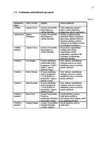 Biznesa plāns 'Biznesa plāna sastādīšana SIA "Šerloks" detektīvu aģentūrai', 9.