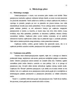 Biznesa plāns 'Biznesa plāna sastādīšana SIA "Šerloks" detektīvu aģentūrai', 12.