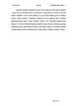 Eseja 'Mārgaretas Atvudas romāna "Iznirstot" recenzija', 2.