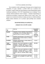 Konspekts 'Autotransporta līdzekļu klasifikācija', 3.