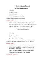 Konspekts 'Frisbijs - 1. un 2.piespēles mācīšana un pilnveidošana', 2.