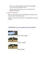 Konspekts 'Frisbijs - 1. un 2.piespēles mācīšana un pilnveidošana', 4.