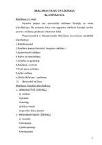 Referāts 'Reklāmas veidi un formas tirdzniecībā un pakalpojumu uzņēmumā', 11.