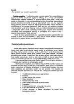 Referāts 'Bērnu vasaras nometnes "Saule un prieks" projekta pieteikums', 3.