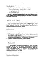 Referāts 'Bērnu vasaras nometnes "Saule un prieks" projekta pieteikums', 4.