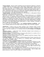 Konspekts 'Vienlīdzības principa izpratnes diskurss tiesību filozofijā', 3.