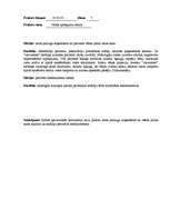 Prakses atskaite 'Prakse Valsts apdegumu centrā', 7.