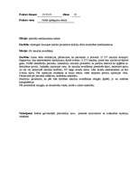 Prakses atskaite 'Prakse Valsts apdegumu centrā', 10.