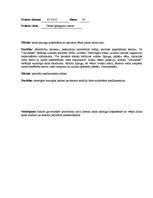 Prakses atskaite 'Prakse Valsts apdegumu centrā', 19.