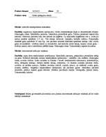 Prakses atskaite 'Prakse Valsts apdegumu centrā', 20.