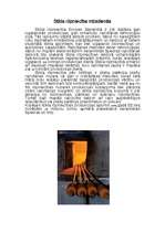 Referāts 'Stikla atklāšanas vēsture', 4.