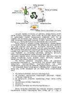 Referāts 'Stikla atklāšanas vēsture', 5.