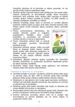 Referāts 'Paliatīva aprūpe', 6.