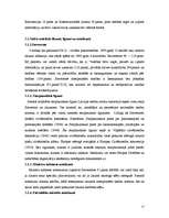 Referāts 'Cilvēktiesību būtība un problēmas', 16.