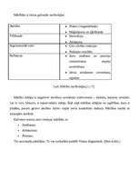 Diplomdarbs 'Dators skolas metodiskajā darbā', 16.