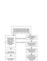 Diplomdarbs 'Dators skolas metodiskajā darbā', 21.