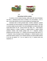 Referāts 'Zemes siltuma enerģijas izmantošana', 5.