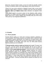 Referāts 'Pirmatnējās sabiedrības kultūra. Senās Ēģiptes kultūra', 11.