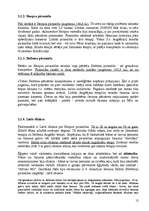 Referāts 'Pirmatnējās sabiedrības kultūra. Senās Ēģiptes kultūra', 12.