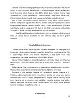 Referāts 'J.Vītola kordziesmas analīze  - Karaļmeita', 10.