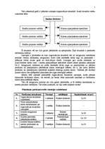 Referāts 'Personālvadības plāns', 7.