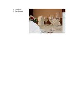 Referāts 'Mājturības referāts 8.klasei', 3.