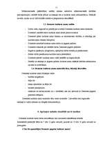 Prakses atskaite 'Pirmsdiploma prakses pārskats', 11.