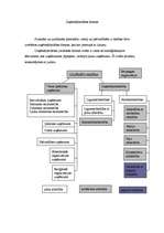 Konspekts 'Uzņēmējdarbības formas', 1.