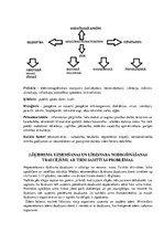 Prakses atskaite 'Vesela cilvēka pamatvajadzības. Pieauguša cilvēka periods', 3.