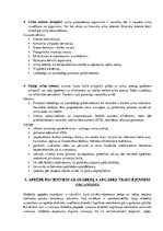 Prakses atskaite 'Vesela cilvēka pamatvajadzības. Pieauguša cilvēka periods', 10.